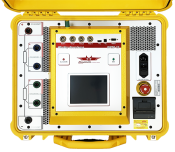 Raytech WR50-12 - 50A, 2 Channel Winding Resistance Meter with Demagnetization and Discharge